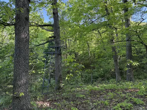 13080 County Road Ee, Cabool, MO 65689 photo 23