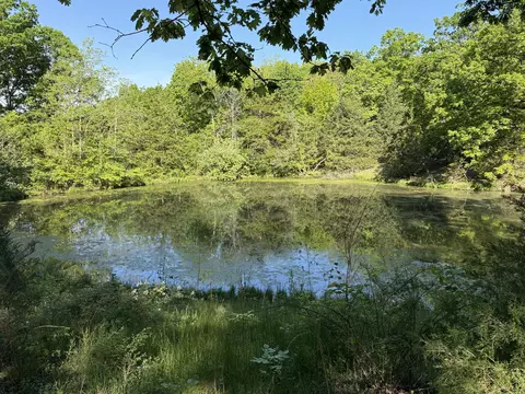 13080 County Road Ee, Cabool, MO 65689 photo 2