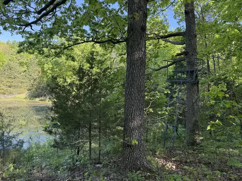 13080 County Road Ee, Cabool, MO 65689 photo 29