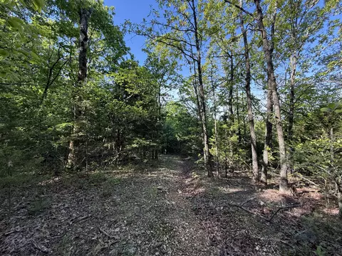 13080 County Road Ee, Cabool, MO 65689 photo 26