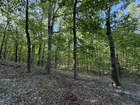 13080 County Road Ee, Cabool, MO 65689 photo 27