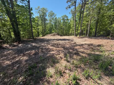 00000 Whispering Pines Ln, Licking, MO 65542