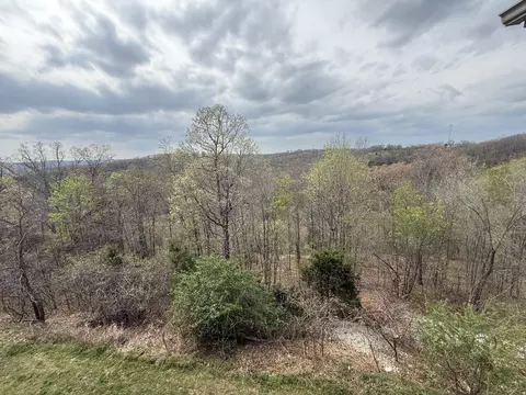 260 Toni Ln #D, Branson, MO 65616 photo 16