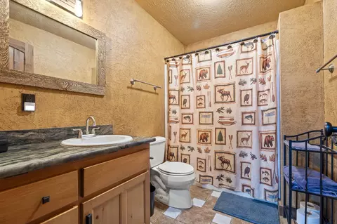 Bath - 103 Rustic Ridge Dr, Shell Knob, MO 65747 photo 4 of 8