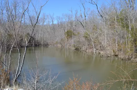 1955 Highview Cir, Bruner, MO 65620