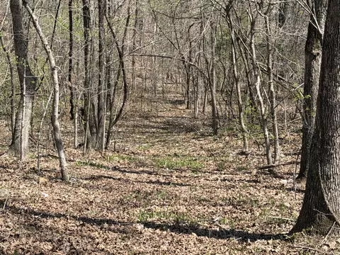 Other - 2731 County Road 250, Thayer, MO 65791 photo 41 of 46
