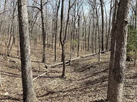 Other - 2731 County Road 250, Thayer, MO 65791 photo 40 of 46