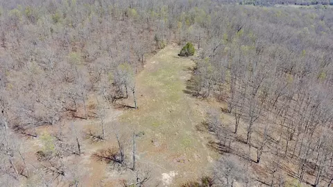 View/Area - 2731 County Road 250, Thayer, MO 65791 photo 5 of 8