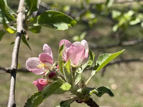 Other - 2731 County Road 250, Thayer, MO 65791 photo 46 of 46