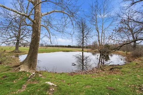 002 E Mount Gilead Rd, Bolivar, MO 65613 photo 5