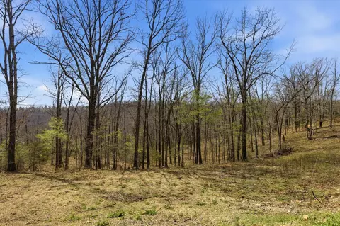 334 Bray Mines Rd, Oldfield, MO 65720 photo 11