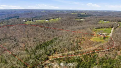 000 Bray Mines Rd, Oldfield, MO 65720 photo 4