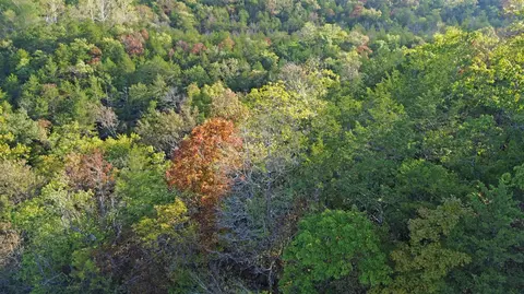 000 Delillo #LOT 3, Branson, MO 65616 photo 9