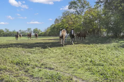Other - 3259 W Farm Rd 60, Springfield, MO 65803 photo 25 of 26