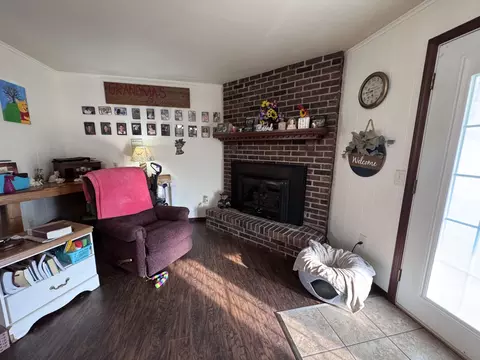 Living - 207 E Meadow Ave, Crane, MO 65633 photo 3 of 3