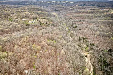 256 Windsor Ln, Pineville, MO 64856 photo 6