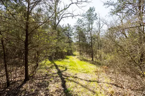 Other - 16032 Farm Road 1212, Aurora, MO 65605 photo 12 of 20