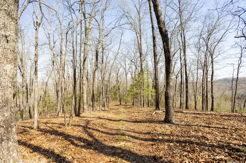Other - 16032 Farm Road 1212, Aurora, MO 65605 photo 11 of 20