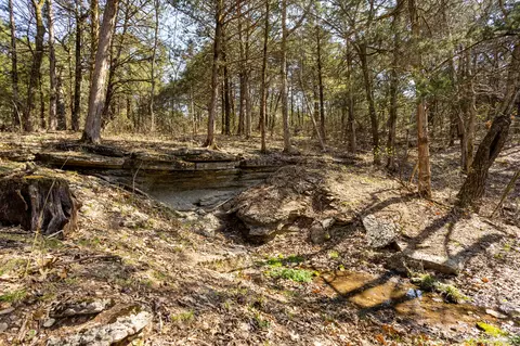 Other - 16032 Farm Road 1212, Aurora, MO 65605 photo 13 of 20