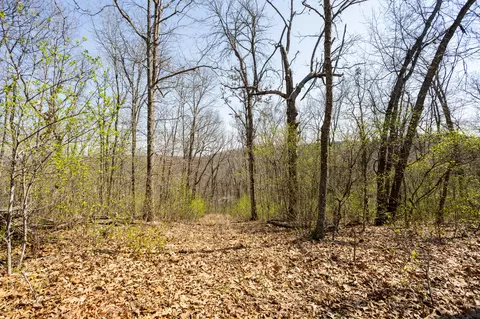 Other - 16032 Farm Road 1212, Aurora, MO 65605 photo 16 of 20