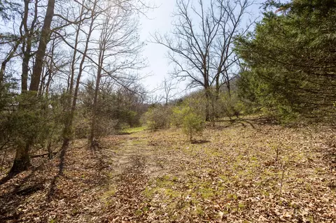 Exterior - 16032 Farm Road 1212, Aurora, MO 65605 photo 18 of 18