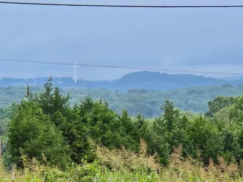 View/Area - 1275 Sunset Inn Rd, Branson, MO 65616 photo 6 of 8