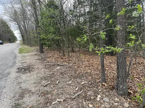 lot10 Entry Rd, Ridgedale, MO 65739