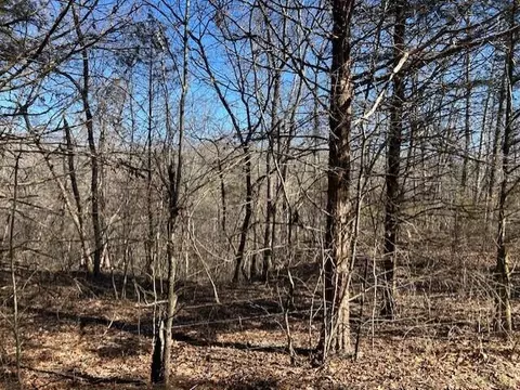 7789 E Co Rd #T-561, Ava, MO 65608