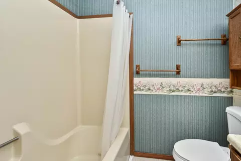 Bath - 1650 Miller Dr, Branson, MO 65616 photo 2 of 4