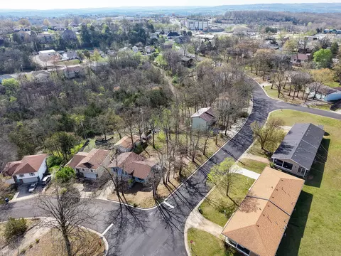 View/Area - 1650 Miller Dr, Branson, MO 65616 photo 2 of 4