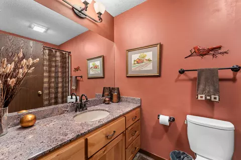 Bath - 25540 Fox Woods Cir, Shell Knob, MO 65747 photo 3 of 3