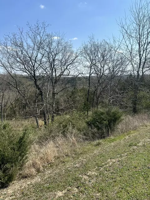 000 Pebble Beach Lot 6a Dr, Branson, MO 65616 photo 2