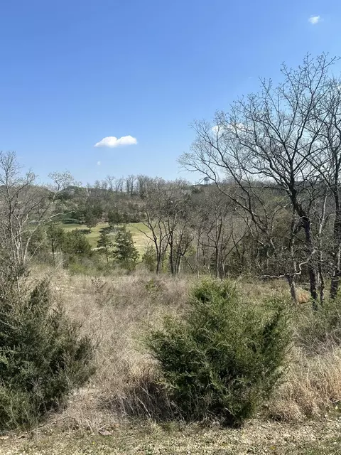000 Pebble Beach Lot 5 Dr, Branson, MO 65616 photo 2