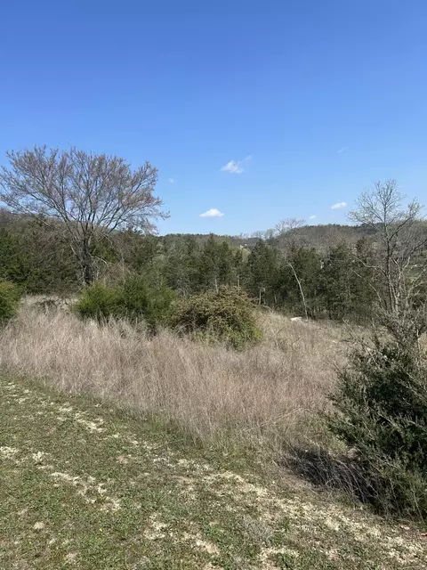 000 Pebble Beach Lot 5 Dr, Branson, MO 65616