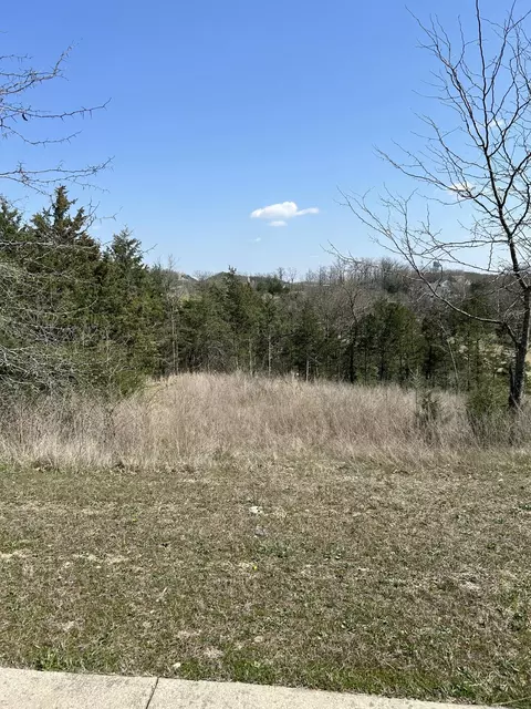 000 Olympic Dr, Branson, MO 65616 photo 4