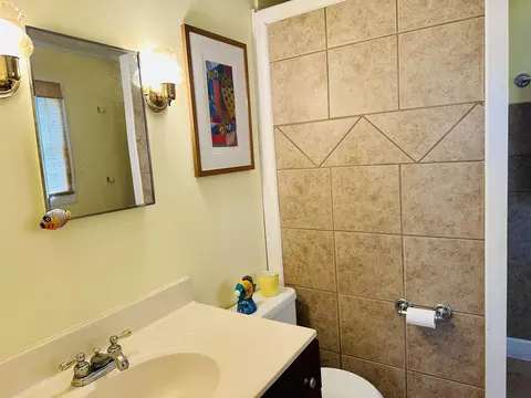 Bath - 245 Velma Rd, Protem, MO 65733 photo 1 of 5