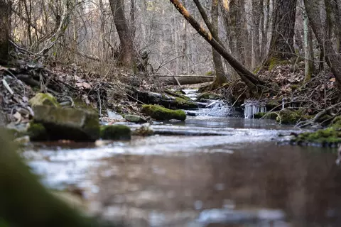 tbd Northwoods Dr, Kimberling City, MO 65686