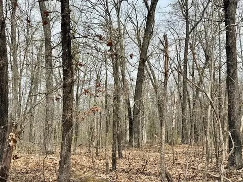 6237 County Road 665, Birch Tree, MO 65438 photo 26