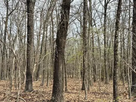 6237 County Road 665, Birch Tree, MO 65438 photo 25