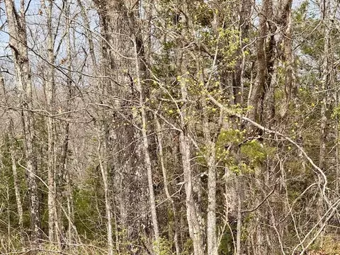 6237 County Road 665, Birch Tree, MO 65438 photo 31