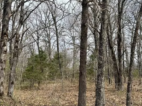6237 County Road 665, Birch Tree, MO 65438 photo 28