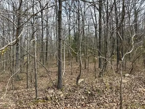 6237 County Road 665, Birch Tree, MO 65438 photo 24