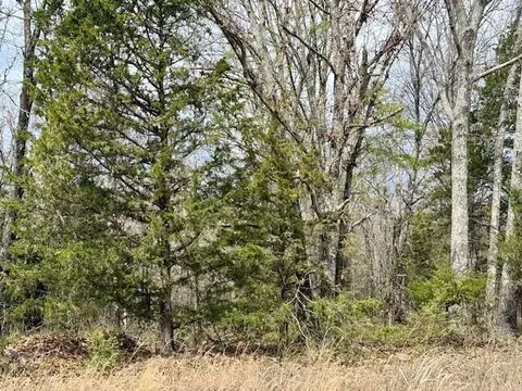 6237 County Road 665, Birch Tree, MO 65438 photo 30