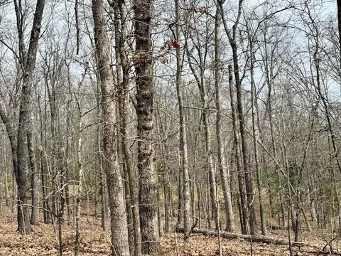 6237 County Road 665, Birch Tree, MO 65438 photo 27