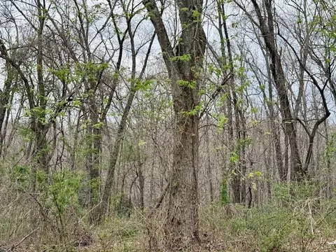 6237 County Road 665, Birch Tree, MO 65438 photo 23