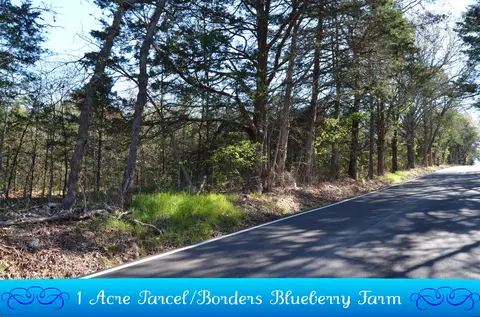 000 Persimmon Hill Ln, Lampe, MO 65681