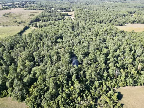 View/Area - 9654 County Road 2680, Mountain View, MO 65548 photo 1 of 2