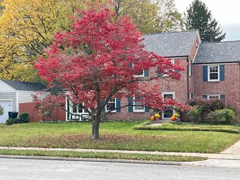Exterior - 926 E University St, Springfield, MO 65807 photo 27 of 29