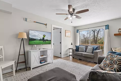 Living - 272 Cave Ln, Branson, MO 65615 photo 2 of 5