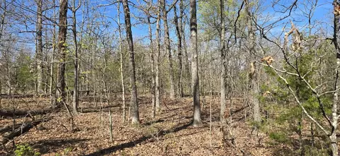 000 Timber Rd, Tunas, MO 65764